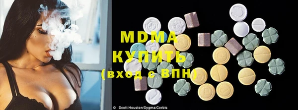 индика Волоколамск