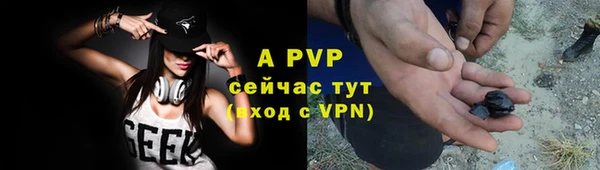 индика Волоколамск