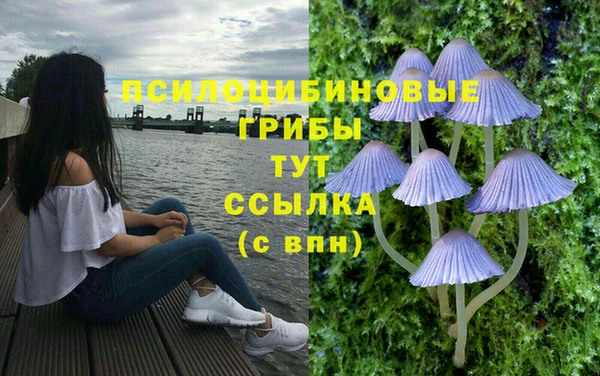 дурь Вязники