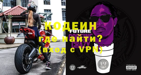 индика Волоколамск