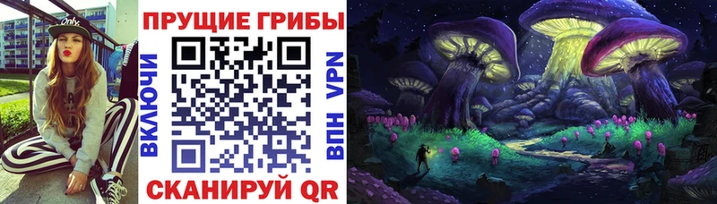 Купить  Невьянск  Галлюциногенные грибы MAGIC MUSHROOMS 